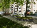 04-Tree surrounds, opening to the east, © Stadtplanungsamt Stadt Frankfurt am Main