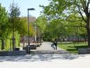 View of the green zone of the district plaza, © Stadtplanungsamt Stadt Frankfurt am Main