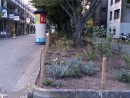 Planting beds at the entrance to the row of stores  © City Planning Department of the City of Frankfurt am Main  