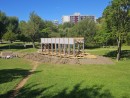 Blühwiese © Stadtplanungsamt Stadt Frankfurt am Main
