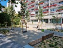 Der neu gepflanzte Baumhain, © Stadtplanungsamt Stadt Frankfurt am Main 
