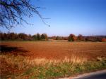 Image of the site in the fall, © Stadtplanungsamt Stadt Frankfurt am Main